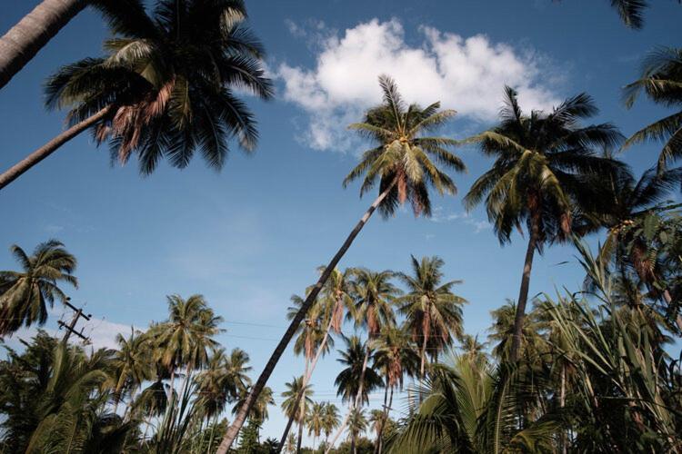 Coconut Tree Homestay Ban Wa Thon Εξωτερικό φωτογραφία